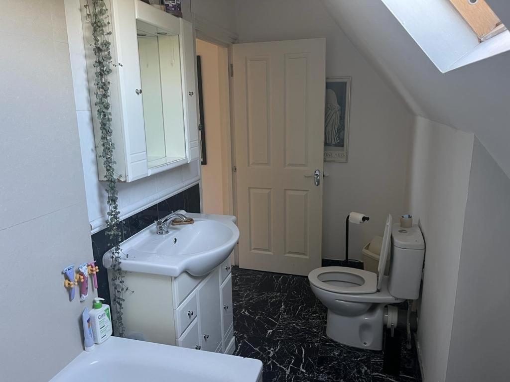 2 Bedroom Top Floor Flat, West Dulwich Free Street Parking Лондон Экстерьер фото
